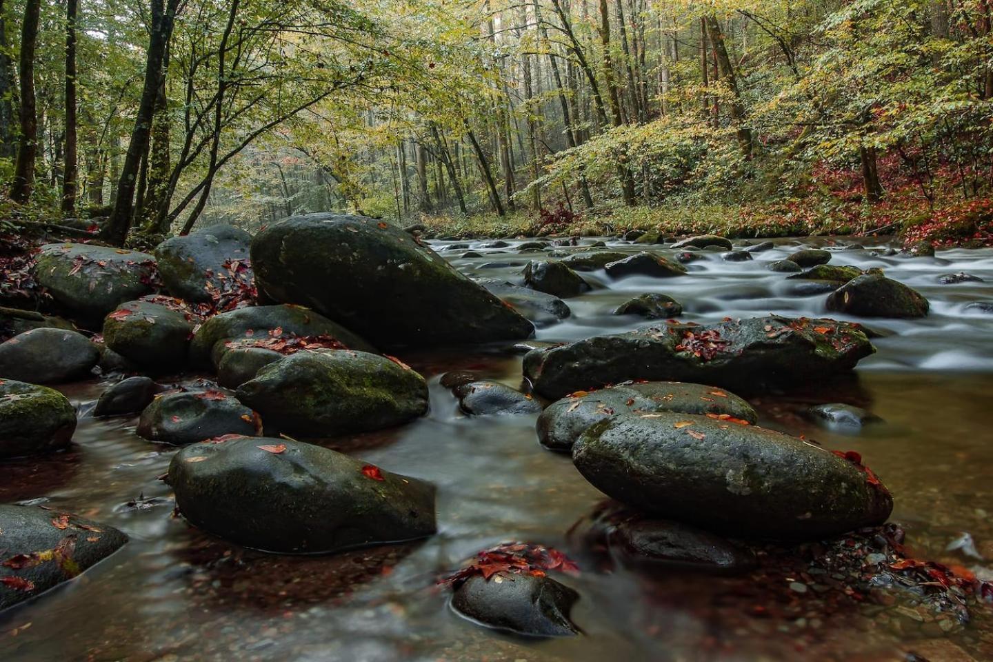 Romantic Mtn Cabin Hot Tub & Jacuzzi Views Sevierville Bagian luar foto