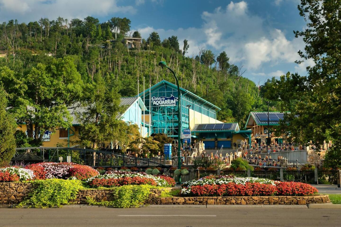Romantic Mtn Cabin Hot Tub & Jacuzzi Views Sevierville Bagian luar foto