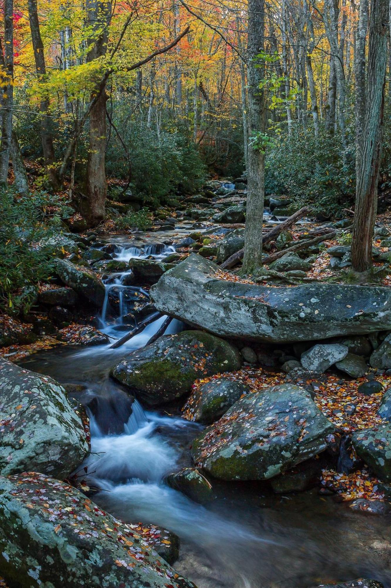 Romantic Mtn Cabin Hot Tub & Jacuzzi Views Sevierville Bagian luar foto