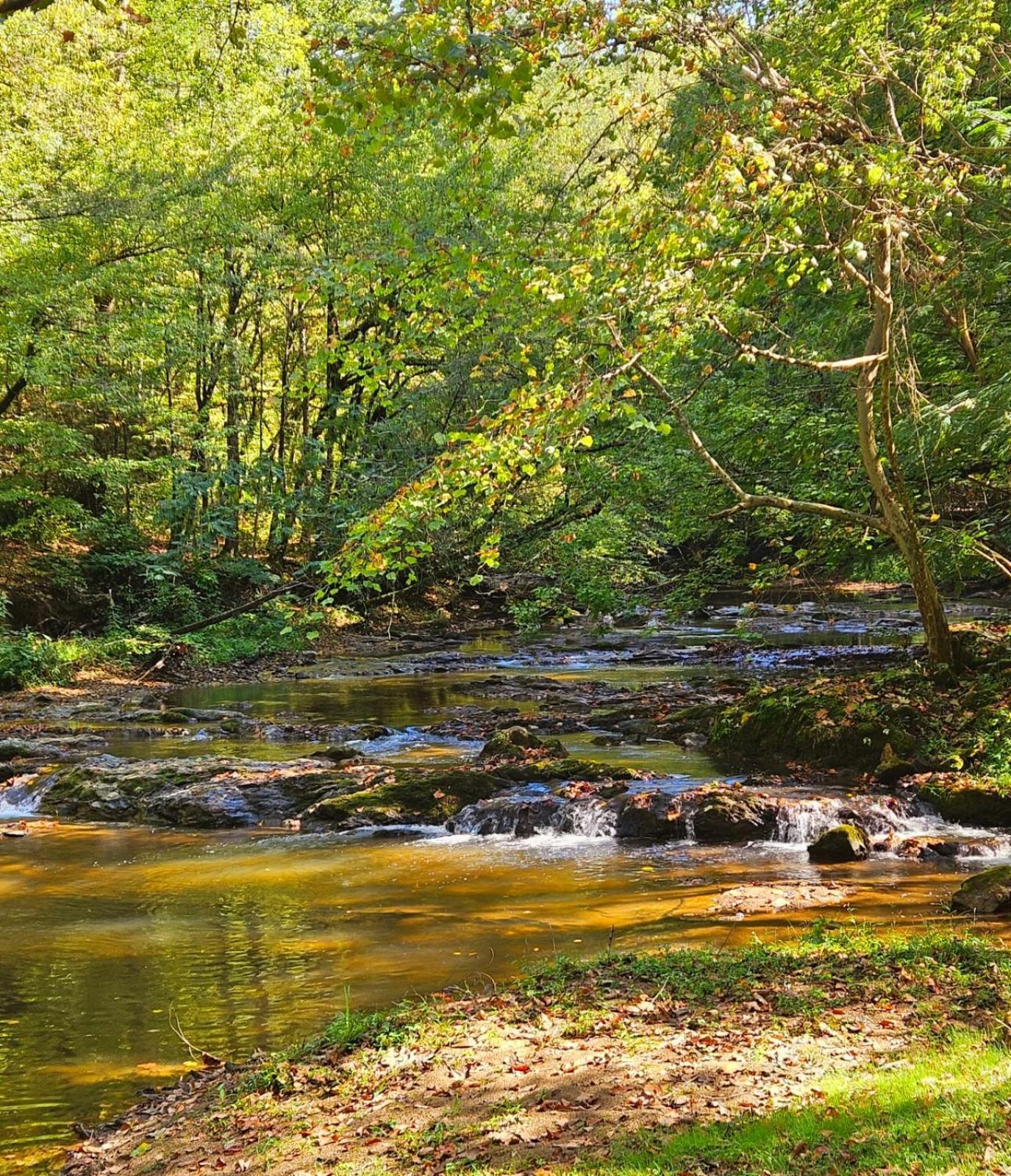 Romantic Mtn Cabin Hot Tub & Jacuzzi Views Sevierville Bagian luar foto